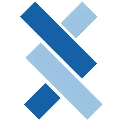 Bleximo logo
