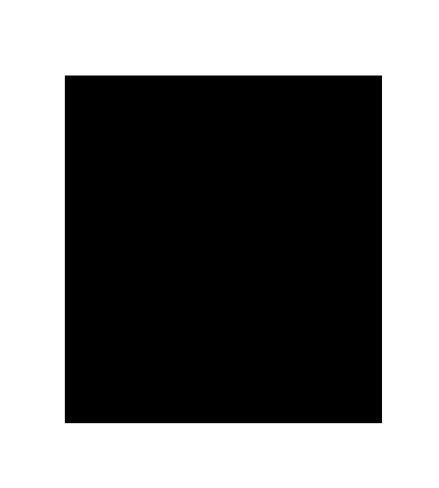 Blind Squirrel Entertainment logo