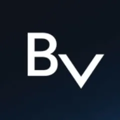BLOCKv logo