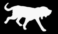 Bloodhound Books logo
