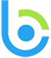 Bloom Consulting Services