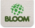BLOOM Holdings logo