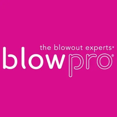 BlowPro logo