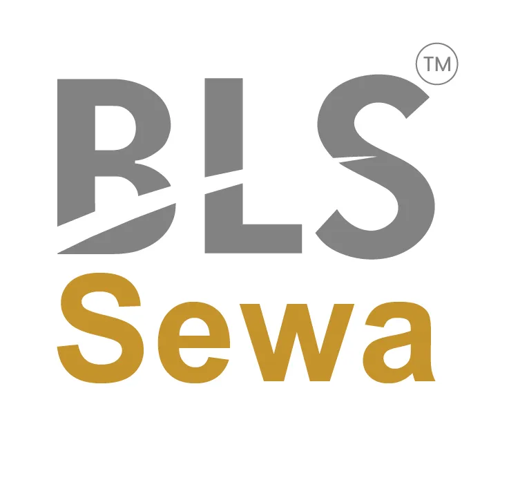 BLS E Services logo