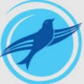 Blue Bird Overseas