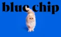 BLUE CHIP CONTENT logo