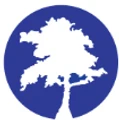Blue Cypress Consulting logo