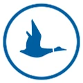 Blue Duck Scooters logo