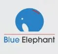 Blue Elephant Capital Advisors