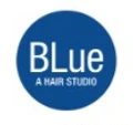 Blue Hair Studio logo