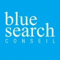 Blue Search logo
