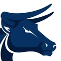 Blue Toro Mobile Mechanics logo