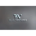 Blue V logo