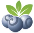 Blueberry Mortgages logo