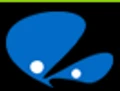 Blueberry Web Solutions