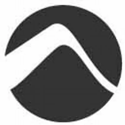 Bluebird Partners logo