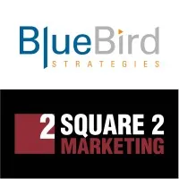 BlueBird Strategies logo