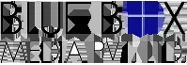 BlueBox Media