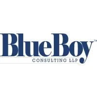 Blue Boy Consulting logo