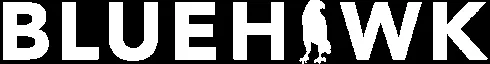 Bluehawkconsulting logo