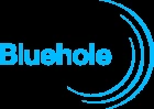 Bluehole Studio logo