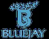 Bluejay