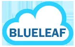 Blueleaf Cyberspace