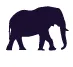 Blue Elephant Capital Management logo
