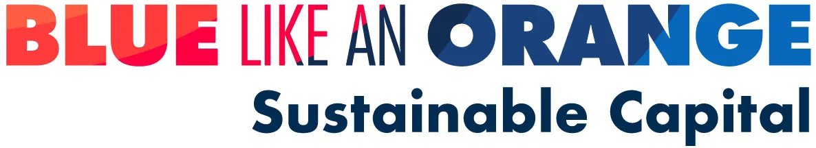 Blue like an Orange logo