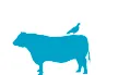 Blue Nest Beef logo