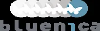 bluenica logo