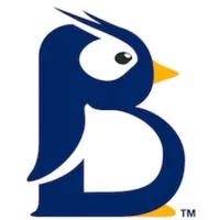 BluePenguin logo