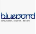 Bluepond Consultancy Services logo