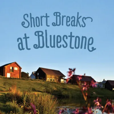 Bluestone National Park Resort logo