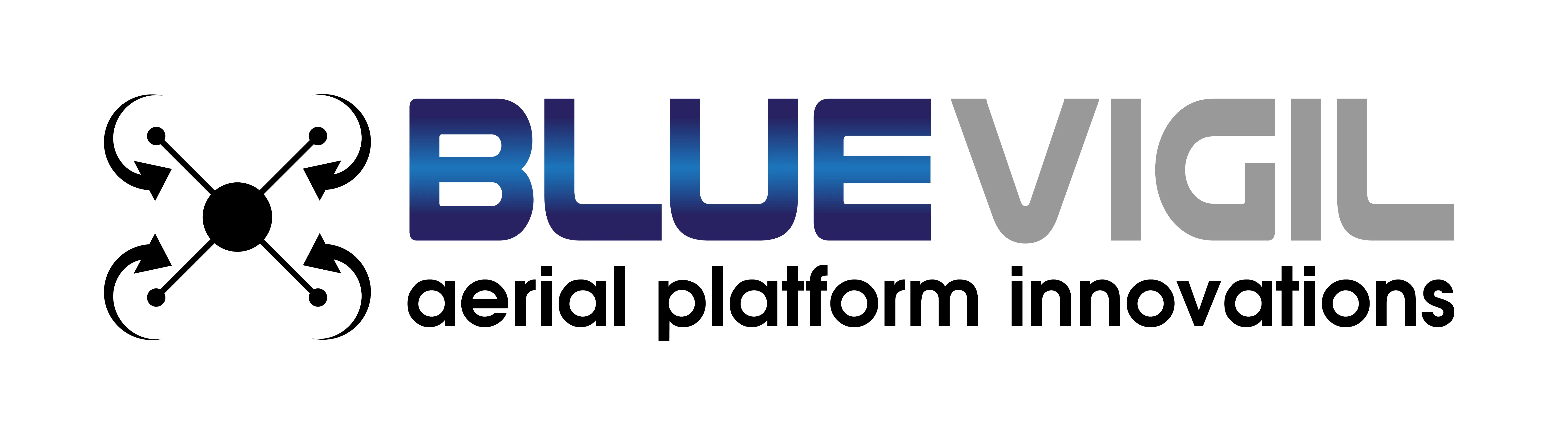 Blue Vigil logo