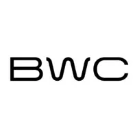 Blue Wire Capital logo