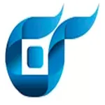 Blue Wireless logo