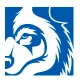 Blue Wolf Capital Partners logo
