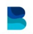 BluLegion Technologies