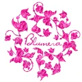 Blumera logo