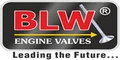 BLW Engine Valves logo