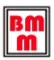 BM Motors logo