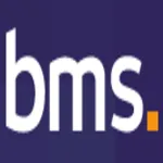 BMS Group logo