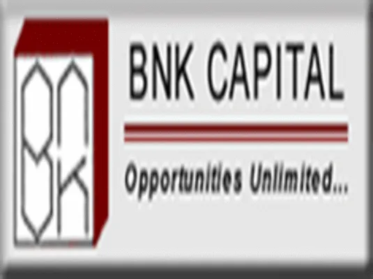 BNK Capitals logo