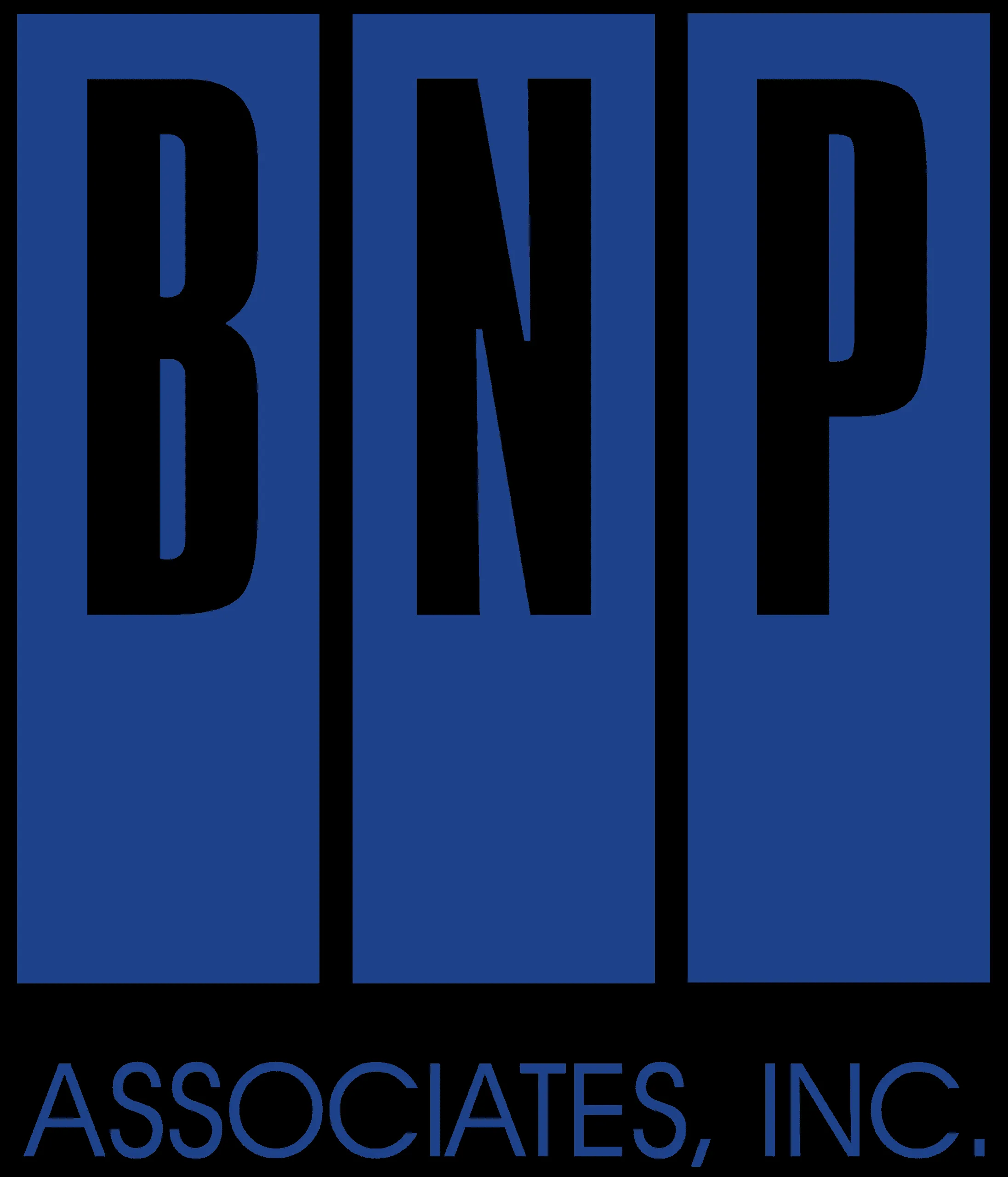BNP Associates logo