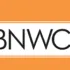 BNW Consulting logo