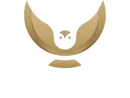 Board Owl