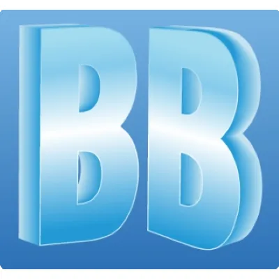 Boards & Beyond logo