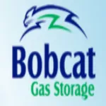 Bobcat Gas Storage logo