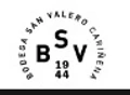 BODEGA SAN VALERO logo
